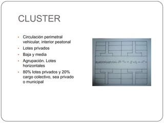 CLUSTER
•

Circulación perimetral
vehicular, interior peatonal

•

Lotes privados

•

Baja y media

•

Agrupación. Lotes
horizontales

•

80% lotes privados y 20%
cargo colectivo, sea privado
o municipal

 