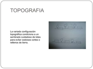TOPOGRAFIA

La variada configuración
topográfica condiciona a un
sembrado cuidadoso de lotes
para evitar costosos cortes o
rellenos de tierra.

 