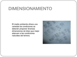 DIMENSIONAMIENTO

El medio ambiente ofrece una
variedad de condiciones se
deberán proponer diversas
dimensiones de loteo que mejor
adecuen a las condiciones
naturales del terreno.

 