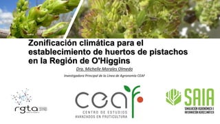 Zonificación climática para el
establecimiento de huertos de pistachos
en la Región de O'Higgins
Dra. Michelle Morales Olmedo
Investigadora Principal de la Línea de Agronomía CEAF
 