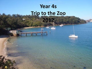 Year 4s
Trip to the Zoo
      2012
 