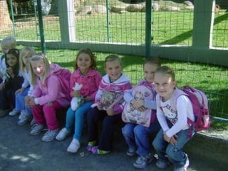 Conhecendo os animais do Zoo