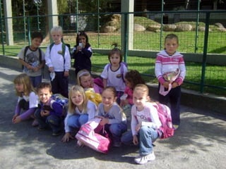 Conhecendo os animais do Zoo