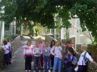 Conhecendo os animais do Zoo