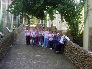 Conhecendo os animais do Zoo