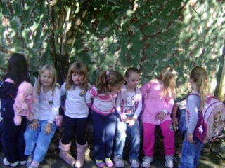 Conhecendo os animais do Zoo