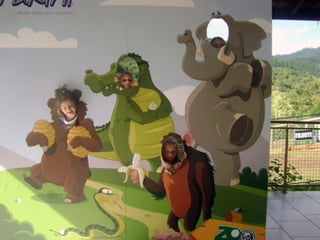 Conhecendo os animais do Zoo