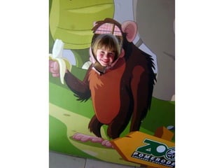 Conhecendo os animais do Zoo