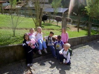 Conhecendo os animais do Zoo