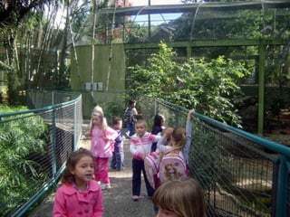 Conhecendo os animais do Zoo