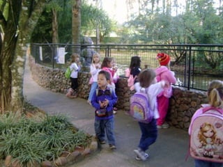 Conhecendo os animais do Zoo