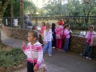 Conhecendo os animais do Zoo