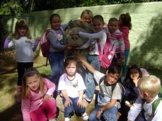 Conhecendo os animais do Zoo