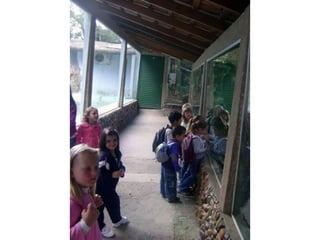 Conhecendo os animais do Zoo