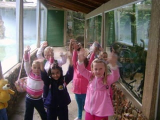 Conhecendo os animais do Zoo