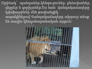 Օրինակ` պանդաներ,կենգուրուներ, ընձուխտներ,
 զեբրեր և գորիլաներ:Ես նաև վանդակաճաղերը
 կփոխարինեի մեծ թափանցիկ
 ապակիներով:Վանդակաճաղերը տխրուր տեսք
 են տալիս կենդանաբանական այգուն:
 