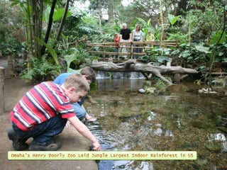 Omaha's Henry Doorly Zoo 