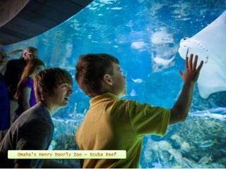 Omaha's Henry Doorly Zoo 