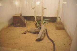 The Egyptian Zoo in Cairo