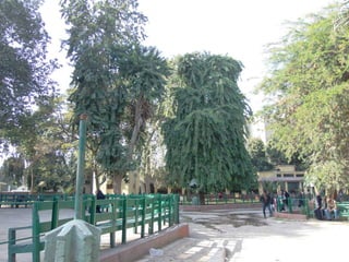 The Egyptian Zoo in Cairo