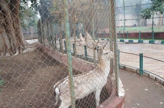 The Egyptian Zoo in Cairo