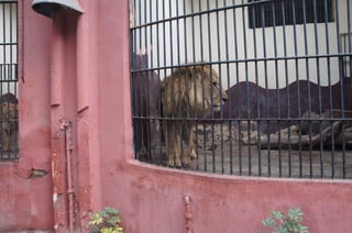 The Egyptian Zoo in Cairo