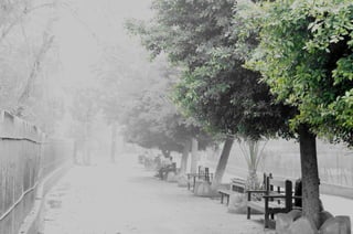 The Egyptian Zoo in Cairo