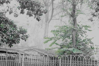 The Egyptian Zoo in Cairo