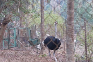 The Egyptian Zoo in Cairo