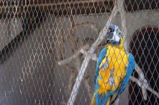 The Egyptian Zoo in Cairo