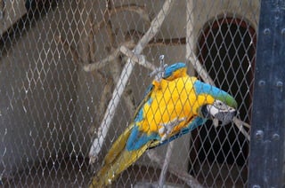 The Egyptian Zoo in Cairo