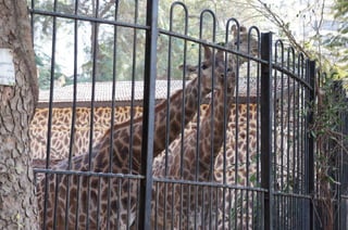 The Egyptian Zoo in Cairo