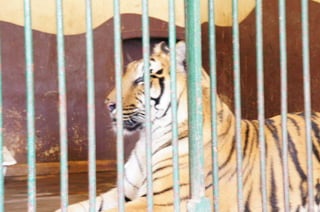 The Egyptian Zoo in Cairo