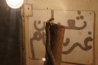 The Egyptian Zoo in Cairo