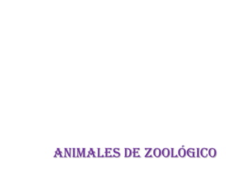 ANIMALES DE ZOOLÓGICO
 