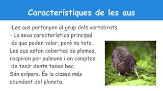 Característiques de les aus 
-Les aus pertanyen al grup dels vertebrats. 
- La seva característica principal 
és que poden volar, però no tots. 
Les aus estan cobertes de plomes, 
respiren per pulmons i en comptes 
de tenir dents tenen bec. 
Són ovípars. És la classe més 
abundant del planeta. 
 