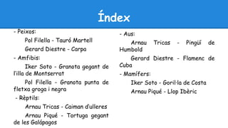 - Peixos: 
Pol Filella - Tauró Martell 
Gerard Diestre - Carpa 
- Amfibis: 
Iker Soto - Granota gegant de 
l’illa de Montserrat 
Pol Filella - Granota punta de 
fletxa groga i negra 
- Rèptils: 
Arnau Tricas - Caiman d’ulleres 
Arnau Piqué - Tortuga gegant 
de les Galápagos 
Índex 
- Aus: 
Arnau Tricas - Pingüí de 
Humbold 
Gerard Diestre - Flamenc de 
Cuba 
- Mamífers: 
Iker Soto - Goril·la de Costa 
Arnau Piqué - Llop Ibèric 
 