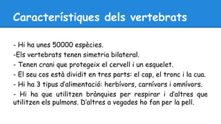 Característiques dels vertebrats 
- Hi ha unes 50000 espècies. 
-Els vertebrats tenen simetria bilateral. 
- Tenen crani que protegeix el cervell i un esquelet. 
- El seu cos està dividit en tres parts: el cap, el tronc i la cua. 
- Hi ha 3 tipus d’alimentació: herbívors, carnívors i omnívors. 
- Hi ha que utilitzen brànquies per respirar i d’altres que 
utilitzen els pulmons. D’altres a vegades ho fan per la pell. 
 
