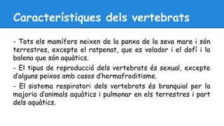 Característiques dels vertebrats 
- Tots els mamífers neixen de la panxa de la seva mare i són 
terrestres, excepte el ratpenat, que es volador i el dofí i la 
balena que són aquàtics. 
- El tipus de reproducció dels vertebrats és sexual, excepte 
d’alguns peixos amb casos d’hermafroditisme. 
- El sistema respiratori dels vertebrats és branquial per la 
majoria d’animals aquàtics i pulmonar en els terrestres i part 
dels aquàtics. 
 