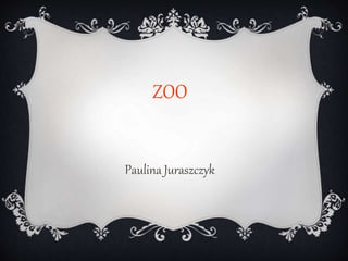 ZOO 
Paulina Juraszczyk 
 