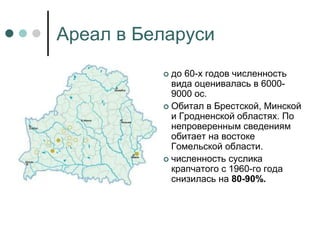 Ареал в Беларуси
 до 60-х годов численность
вида оценивалась в 6000-
9000 ос.
 Обитал в Брестской, Минской
и Гродненской областях. По
непроверенным сведениям
обитает на востоке
Гомельской области.
 численность суслика
крапчатого с 1960-го года
снизилась на 80-90%.
 