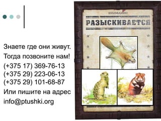 Знаете где они живут.
Тогда позвоните нам!
(+375 17) 369-76-13
(+375 29) 223-06-13
(+375 29) 101-68-87
Или пишите на адрес
info@ptushki.org
 