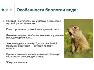 Особенности биологии вида:
 Обитает на суходольных участках с невысокой
луговой растительностью.
 Голос суслика — громкий, мелодичный свист.
 Дневные зверьки, наиболее активные в утренние
и предвечерние часы.
 Зимой впадают в спячку. Длится она 6—6,5
месяцев: с сентября — октября по март —
апрель.
 Суслик - типичное норное животное, большую
часть жизни он проводит в норе.
 Живут колониями.
 