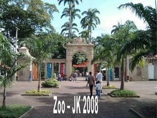 Zoo – JK 2008 
