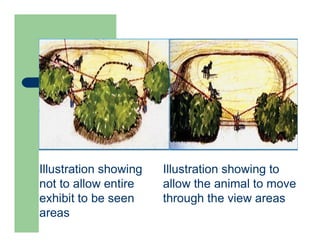 Illustration showing to
allow the animal to move
through the view areas
Illustration showing
not to allow entire
exhibit to be seen
areas
 