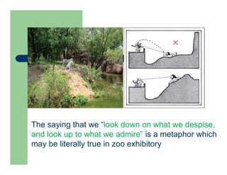 ×
The saying that we “look down on what we despise,
and look up to what we admire” is a metaphor which
may be literally true in zoo exhibitory
 