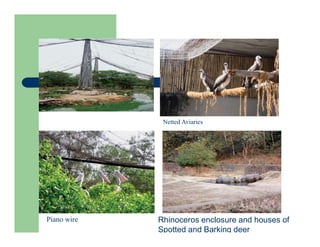 Netted Aviaries
Piano wire Rhinoceros enclosure and houses of
Spotted and Barking deer
 