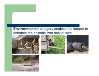 o Environmental: category enables the keeper to
enhance the animals' zoo habitat with
opportunities that change or add complexity to
the environment
 