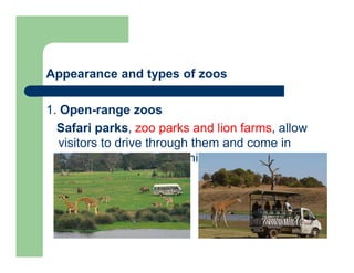 Appearance and types of zoos
1. Open-range zoos
Safari parks, zoo parks and lion farms, allow
visitors to drive through them and come in
close contact with the animals.
 