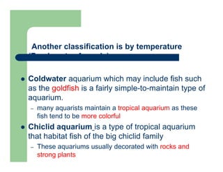Another classification is by temperature
(Fresh water Aquaria)
 Coldwater aquarium which may include fish such
as the goldfish is a fairly simple-to-maintain type of
aquarium.
– many aquarists maintain a tropical aquarium as these
fish tend to be more colorful
 Chiclid aquarium is a type of tropical aquarium
that habitat fish of the big chiclid family
– These aquariums usually decorated with rocks and
strong plants
A Biotope aquarium tries to mimic some natural
 